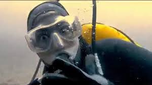 Image result for Great Western Divers