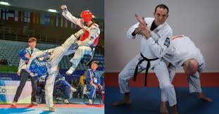 Image result for Northern Freestyle Karate Association