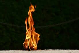 Image result for Graves Flames