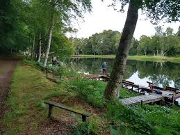 Image result for Diggle Angling Club