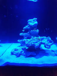 Image result for Peninsula Sub Aqua