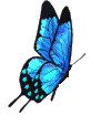 http://t0.gstatic.com/images?q=tbn:ANd9GcR2MYK4WZsCIQeL5cxsV3kNLa0iaErt9TfxkbAhTe0MrRtRwpkEIkgghQ