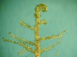 Attēlu rezultāti vaicājumam “Hamatocaulis vernicosus”