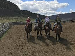 Image result for Kings Ranch Riding School/Club