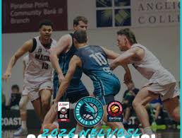 Image result for Scarborough Seahawks Basketball Club