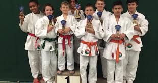 Image result for Micklefield Judo Club