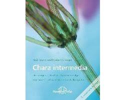 Attēlu rezultāti vaicājumam “Chara intermedia”