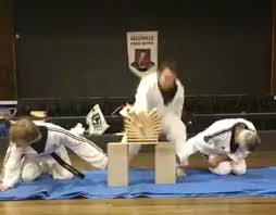 Image result for Red Dragon Taekwondo club