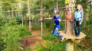 Image result for Go Ape! Leeds Castle