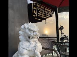 Image result for Dragon Wushu Club