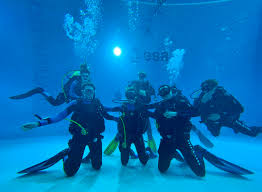 Image result for 3D Diving Club
