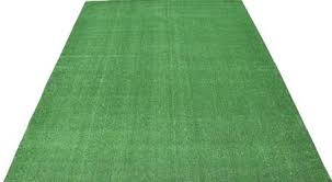 Image result for Astroturf