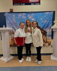 Image result for Hemsworth Odyssey Gymnastics Squad