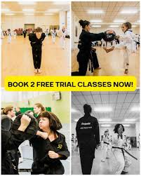 Image result for Bytomic Tae Kwon Do Beaconsfield