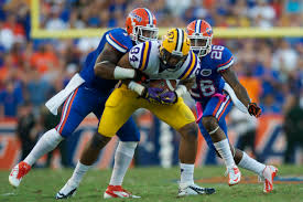 Image result for Grantham Gators