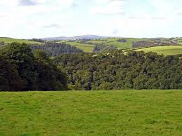 Image result for Whitland