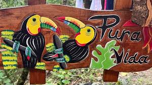 Image result for foto  de uma vida