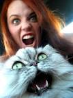 Tags: cat ginger girl scream mouth - cat-ginger-girl-scream-mouth-1278855887b