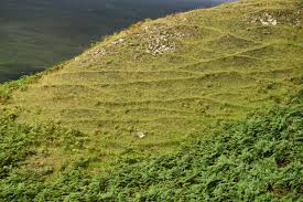 Image result for example