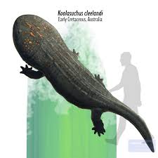 Attēlu rezultāti vaicājumam “Lycogala convexum young”