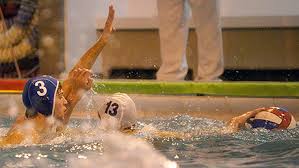 Image result for Swindon Dolphins