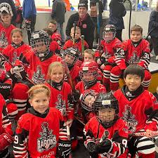 Image result for Haringey Junior Ice Hockey Club