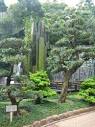 Chi Lin Nunnery & Nan Lian