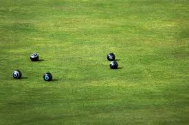 Image result for Milngavie Bowling Club