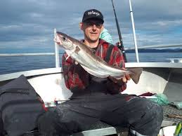 Image result for Merlangius merlangus