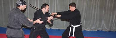 Image result for Bujinkan Plymouth Dojo