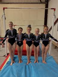 Image result for Thornton Sport Gymnastics