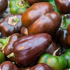 Afbeeldingsresultaat voor chocolate beauty sweet pepper