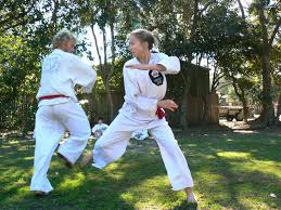 Image result for Silat Pd (Perisai Diri) UK