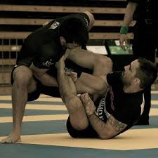 Image result for Derwent Jujitsu Academies