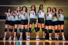 Image result for Bournside Volleyball Club