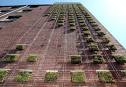 ShowCase: Parti Wall, Hanging Green by Young Architects Boston ...
