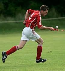 Image result for World of Shinty