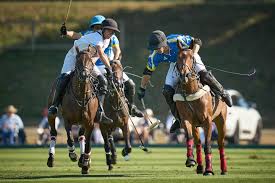 Image result for Woolmers Park Polo Club