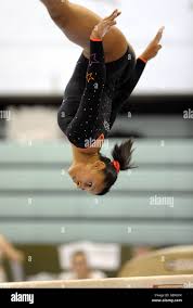 Image result for Notts Gymnastics Club