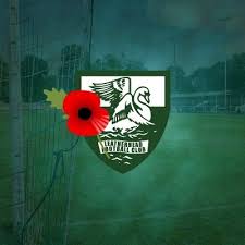 Image result for Leatherhead Football Club