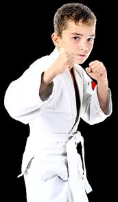 Image result for Apollo Martial Arts Academy