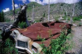 Image result for St Helens Miners