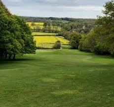 Image result for Betchworth Park Golf Club