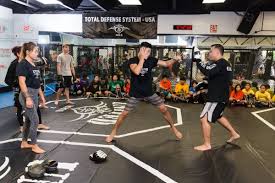 Image result for American Kick Boxing Club