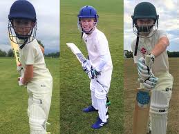 Image result for Farnsfield Cricket Club