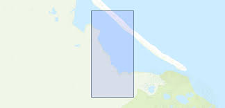 Image result for Liopsetta glacialis