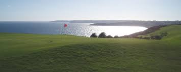 Image result for Falmouth and Helston Octopush Club