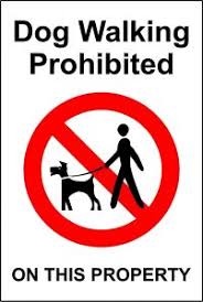 Image result for Laleham Village Ladies Cc