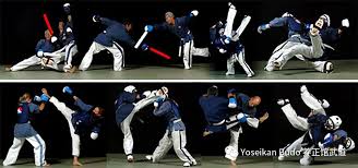 Image result for Yoseikan Budo England