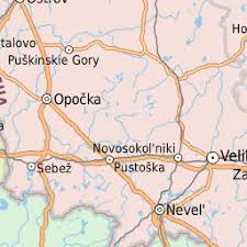 Attēlu rezultāti vaicājumam “Licea pusilla sessile”